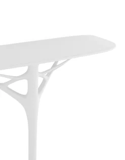 Online A.i. console Console