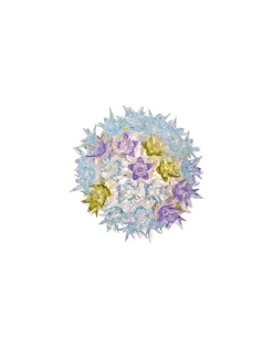 Online Bloom applique Lampade Applique
