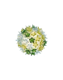 Online Bloom applique Lampade Applique